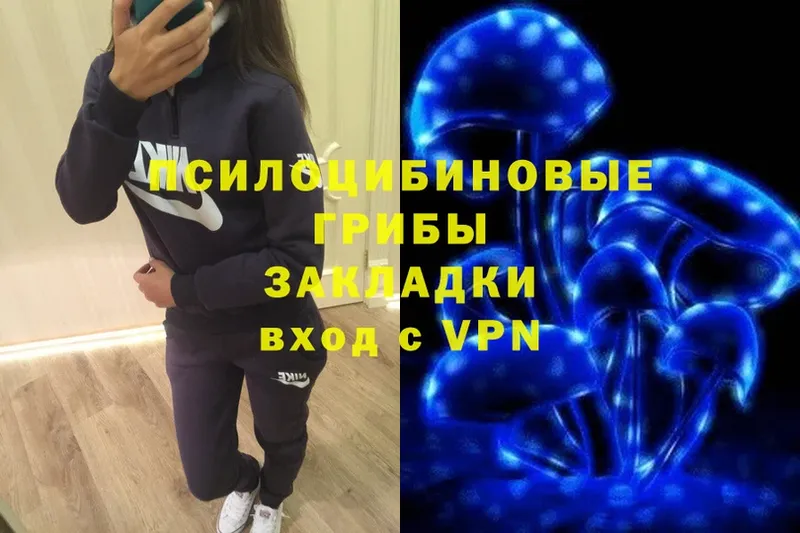 Галлюциногенные грибы Psilocybine cubensis  где найти   Высоцк 